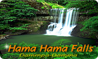 Hama Hama Falls logo