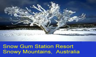 Snow Gum Station Resort logo