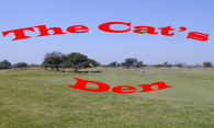 Ascot Cove v1.1 logo