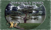 Cuyahoga Pines logo