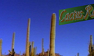 Cactus Ranch logo