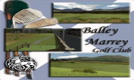 Balley Marrey 2006 logo