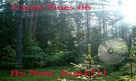 Forest Pines 06 logo