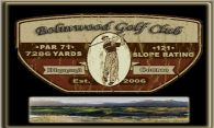 Bolinwood - Diamond Course logo