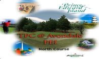 TPC at Avondale (North) 2007 logo