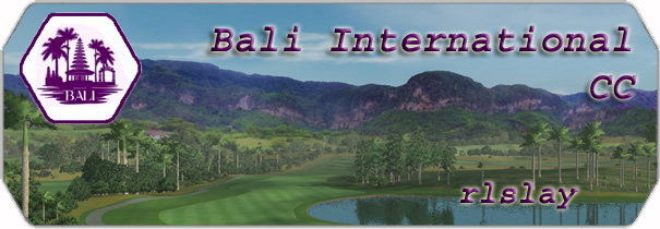 Bali International CC logo