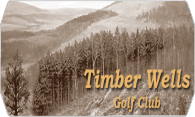 Timber Wells logo