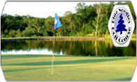 Blue Needles Golf Course 09 logo