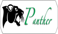 Panther logo