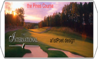 The Pines at International logo