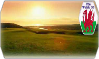 The Welsh Golf Club 09 logo
