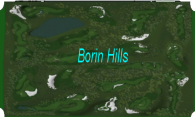 Borin Hills logo