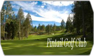 Pintail Golf Club logo