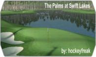 The Palms at Swift Lakes logo