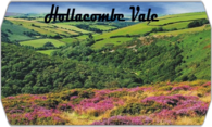 Hollacombe Vale logo