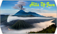 Hills of Java logo