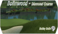 Bolinwood - Diamond Course 08 logo