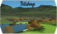Billabongs logo