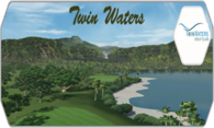Twin Waters logo