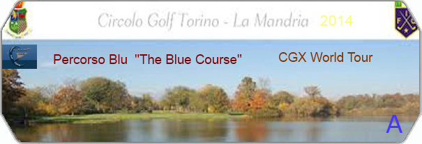 CGX Torino Golf 2014 Blue logo